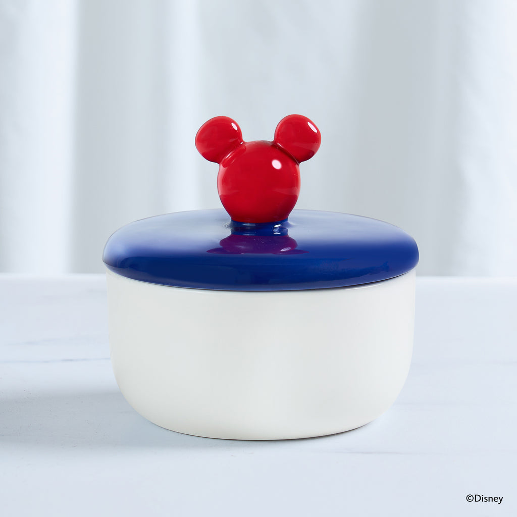ディズニー ボンボヤージュコレクション コンテナ 蓋付き – MEYER