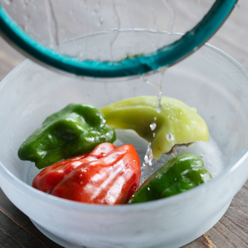 Anyday 16cm 深型ディッシュ レシピブック付き