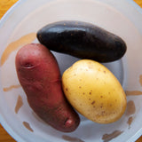 Anyday 16cm 深型ディッシュ レシピブック付き