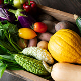 Anyday 16cm 深型ディッシュ レシピブック付き